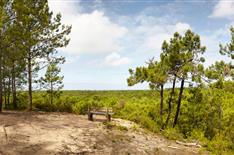Camping Le Bois Joli