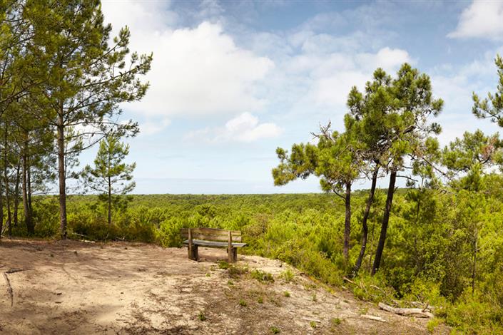 Camping Le Bois Joli