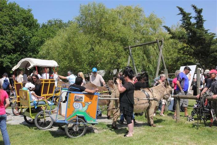 Camping Le Bois Joli