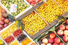 Camping Le Bois Joli -The local markets - Camping Le Bois Joli