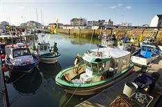 Saint Gilles Croix de Vie - Camping Le Bois Joli