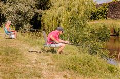 Camping Le Bois Joli
