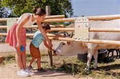 Camping Le Bois Joli