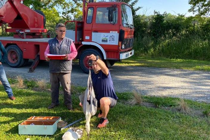 Camping Le Bois Joli-Lagon-Vendée-85-4 stars-Challans-Pornic-Noirmoutier-Swimming pool-Entertainment-Maeva-Family campsite-stork-mini farm - Camping Le Bois Joli