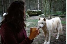 Immersive world - Camping Le Bois Joli
