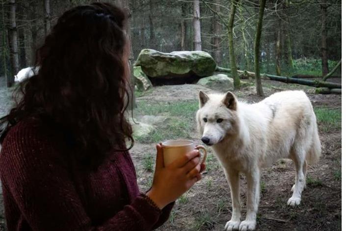 Immersive world - Camping Le Bois Joli