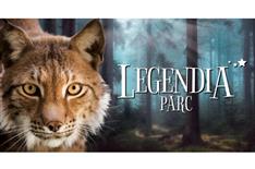 Forest atmosphere Forest pathway at Legendia Parc offering a peaceful nature walk - Camping Le Bois Joli