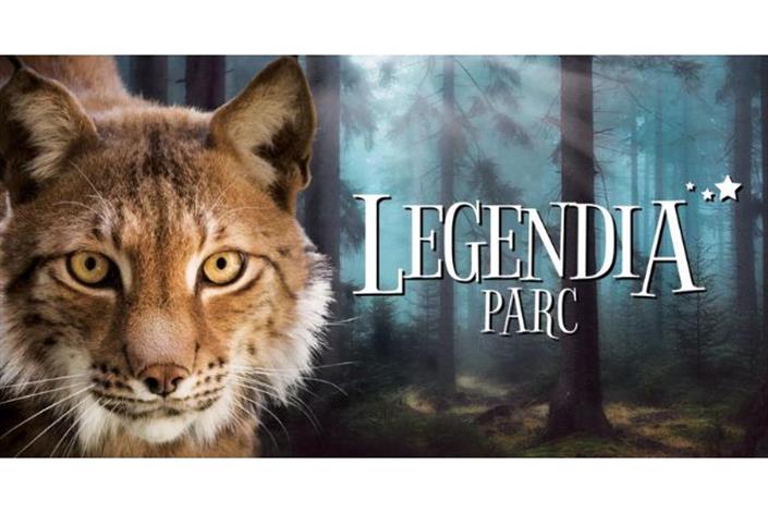 Forest atmosphere Forest pathway at Legendia Parc offering a peaceful nature walk - Camping Le Bois Joli